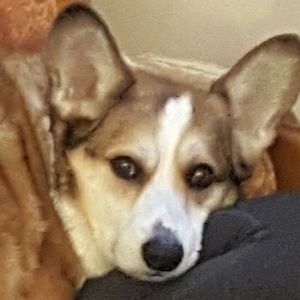 Meet your Posher, Joshua